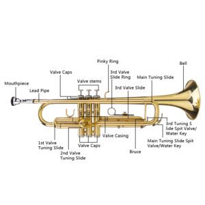 Bb Trumpet Set with Gloves and Mouthpiece - Painted Gold Finish