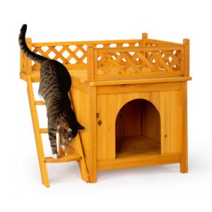 2-Story Wooden Feral Cat House for Outdoor and Indoor with Stairs, Yellow