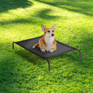 Elevated Outdoor Pet Bed - 43"D x 26"W x 8"H