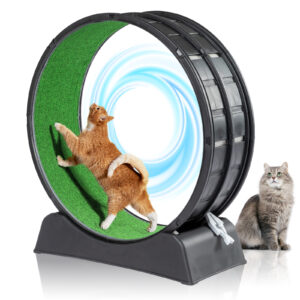 39 inch Cat Exercise Wheel with Carpeted Runway for Indoor Cats - Black