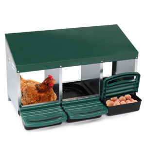 3 Compartment Roll Out Chicken Nesting Box with Plastic Basket - Green