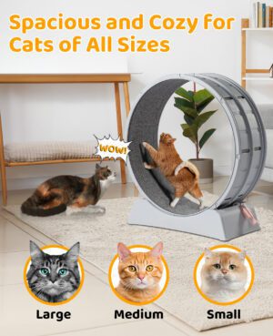 31 inch Cat Exercise Wheel with Carpeted Runway for Indoor Cats, Gray