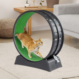 31 inch Plastic Cat Exercise Wheel with Carpeted Runway for Indoor Cats - Black