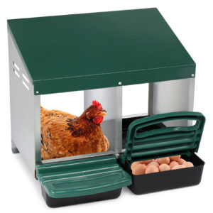 2 Compartment Roll Out Chicken Nesting Box with Plastic Basket, Green